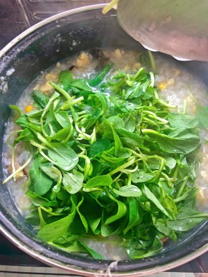 健康美味素食青菜粥的做法 步骤5